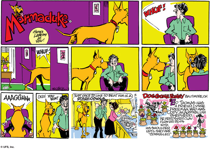 marmaduke